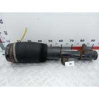 Пневмостойка передняя правая Land Rover Range_Rover 3 (2001-2012) 2003 3491560,RNB000740