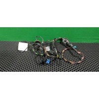 Проводка двери задней правой Mercedes A W169 2005 A1695408205
