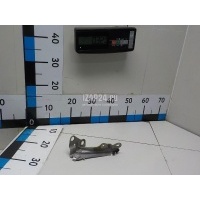 Петля капота правая Ford Maverick (2001 - 2007) 4827107