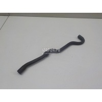 Шланг вентиляции картер. газов VAG Golf IV/Bora (1997 - 2005) 036103558A