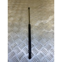 Амортизатор капота Toyota Land Cruiser Prado 150 (2009-2023) 2019 534400W470