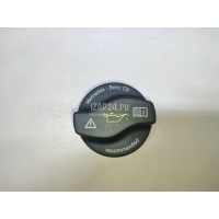 Крышка маслозаливной горловины Mercedes Benz G-Class W463 1989 0000101685
