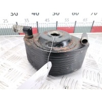 Теплообменник Isuzu Trooper (1981-2002) 2002 ,8973134620