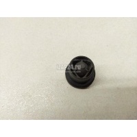 Втулка (кузов внутри) Ford C-MAX (2003 - 2010) 1555641
