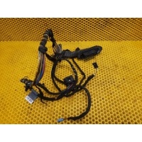 Проводка двери BMW X3 E83 2004 61123413143, 3508099