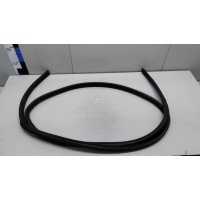 Уплотнитель багажника Ford Fiesta (2001 - 2008) 1374117
