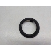 Кольцо уплотнительное (двигатель) Nissan Qashqai (J10) (2006 - 2014) 172405M300