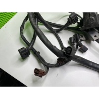 Проводка двигателя Audi A6 4F/C6 2007 4E1971713CB