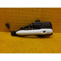 Ручка двери (наружная , внешняя) Renault Kaptur RBA 2019 806706656R, 806060282R, 806550002R, 285989032R
