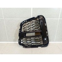 Решетка в бампер левая BMW X1 F48 51118075881