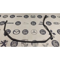 Патрубок ОЖ Ford Focus/2 2004-2011 1386836, 3M5H8C012KK