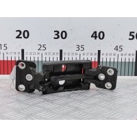 Петля двери задней правой Volkswagen Crafter 1 (2006-2016) 2014 ,2E1827154