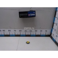 Крышка радиатора Chery Pajero/Montero Sport (K9) (1997 - 2008) T11BJ1301111