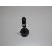 Болт коленвала Nissan CabStar (2008 - 2011) 12309EB300
