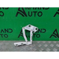 петля капота Ford Transit 7 TTG 2014-нв 2421364, KK3116801AB