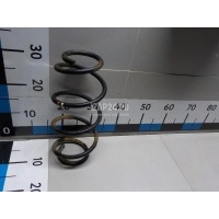 Пружина задняя Renault Kangoo 2008 550204568R
