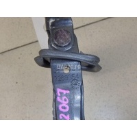 Ограничитель двери BMW 1-serie F20/F21 (2011 - 2019) 51217446719