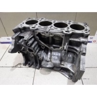 Блок цилиндров Ford Fiesta Mk5 (2002—2008) 2003 1302391