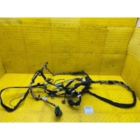 Проводка двери Renault Kaptur RBA 2019 241634770R