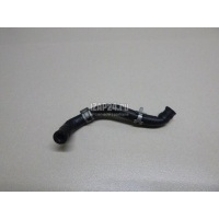 Патрубок Hyundai-Kia Genesis (BH) (2008 - 2014) 254693CDA0