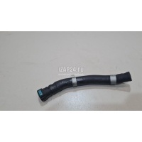 Патрубок Hyundai-Kia Carnival 2020 256122R500