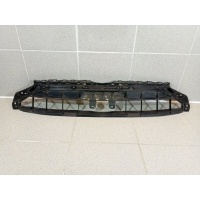 Кронштейн решетки радиатора Audi A4 B9 8W0807233D