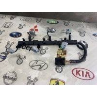 Проводка форсунок Opel Antara L07 2006 12596182