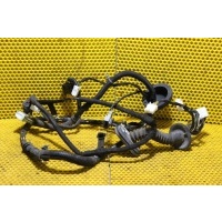 Проводка двери Nissan Qashqai 2010—2013 24124JD10D
