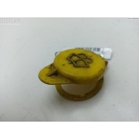 Крышка бачка омывателя Opel Signum 2006 13222787