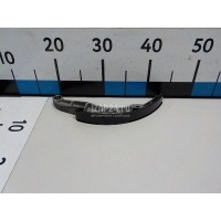 Башмак натяжителя Nissan Pathfinder (R51) (2005 - 2014) 130915M310