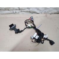 Проводка двери задней левой Audi A6 C6/4F [рестайлинг] 2009 4F1971687AL,4F0971687E,4F1971693G
