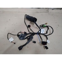 Проводка двери задней правой Audi A6 C6/4F [рестайлинг] 2009 4F1971687AL,4F0971687E,4F1971693G