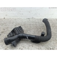 Корпус воздушного фильтра Renault Laguna II (2001-2007) 2001 8200029480