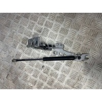 Амортизатор капота BMW 5 E39 2002 8174866
