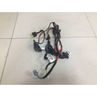 Проводка двери Hyundai Hyundai Santa Fe (CM) 2006-2012 916552B020
