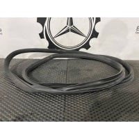 уплотнитель дверного проема задний левый Mercedes-Benz C-Класс W205/S205/C205 A2056970151
