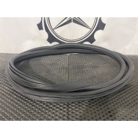 уплотнитель дверного проема задний левый Mercedes-Benz C-Класс W205/S205/C205 A2056970151
