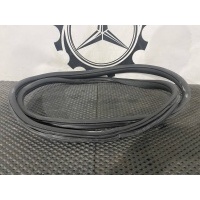 уплотнитель дверного проема задний левый Mercedes-Benz C-Класс W205/S205/C205 A2056970151