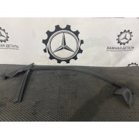 уплотнитель стекла двери передний правый Mercedes-Benz E-Класс W213/S213/C238/A238 A2387205001