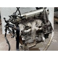 Радиатор масляный Alfa Romeo 159 2008 00555634860