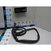 Уплотнитель двери Mercedes Benz W211 E-Klasse (2002 - 2009) 2117300378