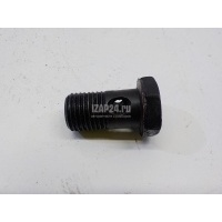 Болт полый DAF 95 (1987 - 1998) 0240559