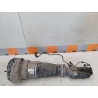 Амортизатор передний Mercedes-Benz S-Class W221 2006 A2213204913