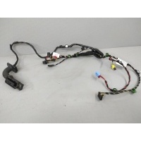 Проводка двери передней левой Volkswagen Jetta 7 2019 17B971161LM