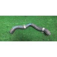 патрубок радиатора Honda Fit GD1 2005 19501-PWA-J00