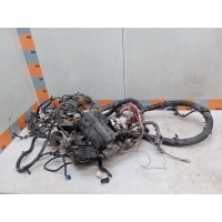 Проводка подкапотная Nissan Navara D40 2007 240124X40A