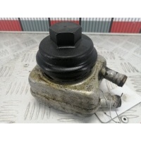 Теплообменник Volkswagen Sharan 1 (1995-2010) 1999 ,068117021B