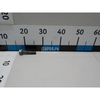 Болт коленвала VAG A6 [C7,4G] (2011 - 2018) WHT009475