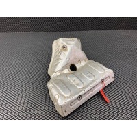 защита катализатора Ford Fiesta 6 2010 9V219N454AB