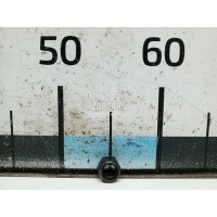 Гайка BMW 3-serie E46 (1998 - 2005) 31106774714